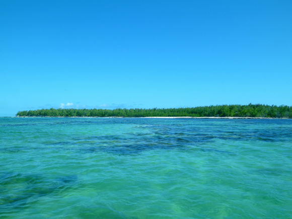 La República de Mauricio es un paraíso insular en el océano Índico que forma parte de las islas Mascareñas. Además de sus playas cristalinas, se puede nadar con delfines en alta mar y hacer un safari por la isla.