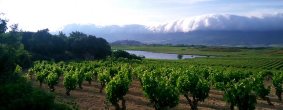 La Rioja Alavesa (Álava), uno de los destinos más baratos de España para viajar en 2021.
