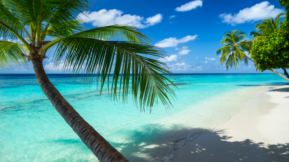 Playa Fiji Isla