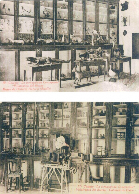 Museo de Historia Natural y gabinete de Física fundado por Díez Tobar.