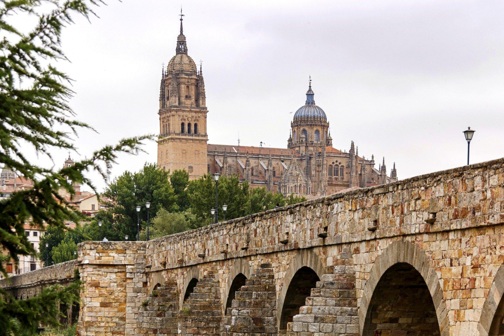 Salamanca fue conquistada por los cartagineses en el siglo III a.C. y luego fue ciudad romana. Posteriormente, estuvo bajo el poder de los musulmanes hasta el siglo XI. El apogeo de su universidad, una de las más antiguas Europa, coincidió con la edad de oro de la ciudad. Declarado Patrimonio de la Humanidad en 1988