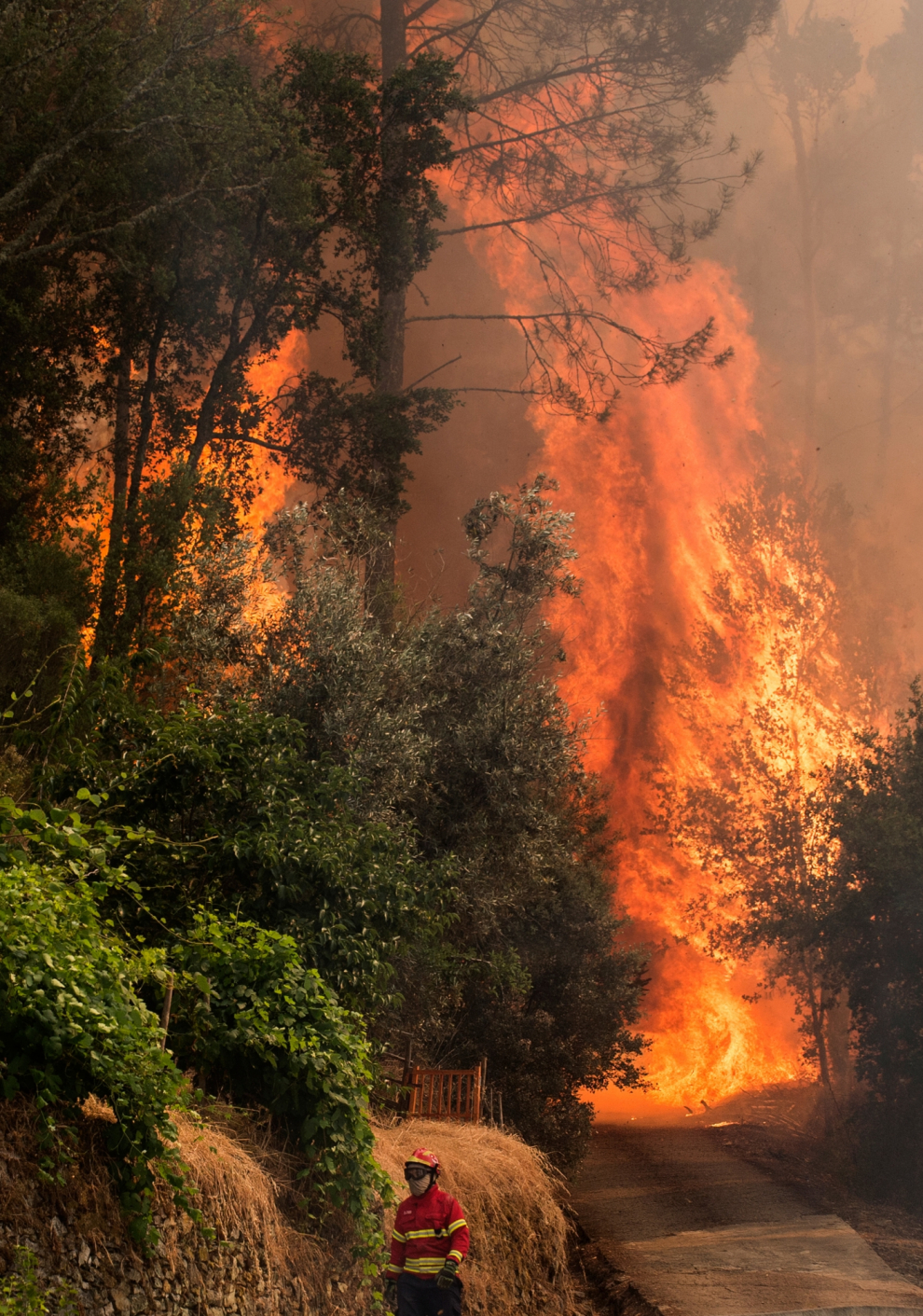 Las imágenes más impactantes del devastador incendio en Portugal