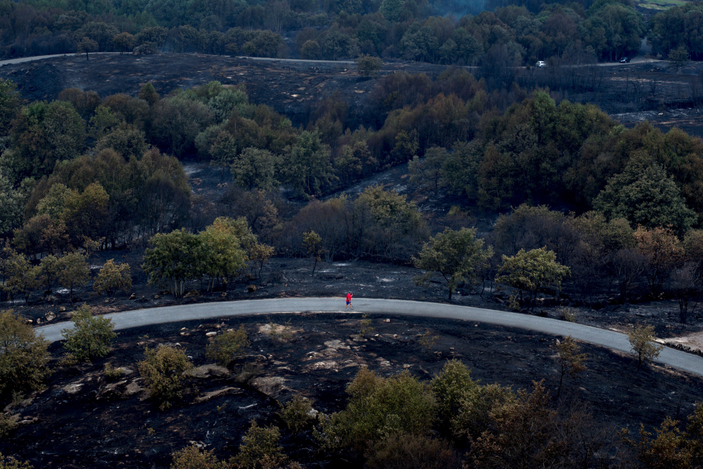 Vista de la zona afectada por el incendio forestal de Cualedro.