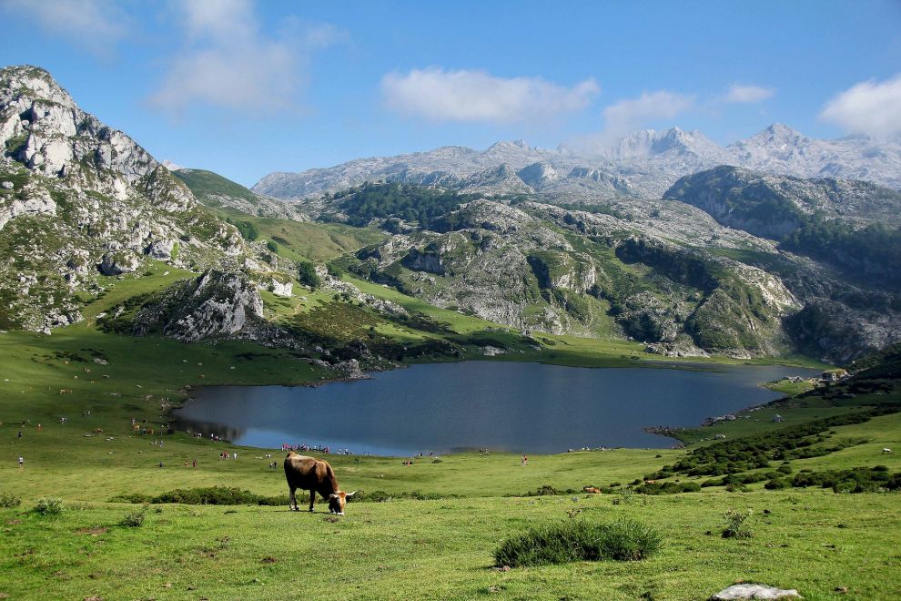 Sin duda uno de los parajes más emblemáticos de la geografía Española, en pleno parque Nacional de los Picos de Europa encontramos Enol y Ercina, dos lagos de origen glaciar con un entorno de una belleza cautivadora, un lugar lleno de encanto que no te puedes perder.