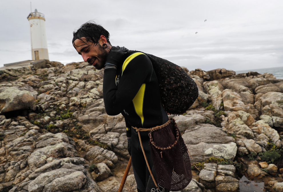 Percebeiros de la cofradía de Corme extraen este crustáceo en el Cabo Roncudo.