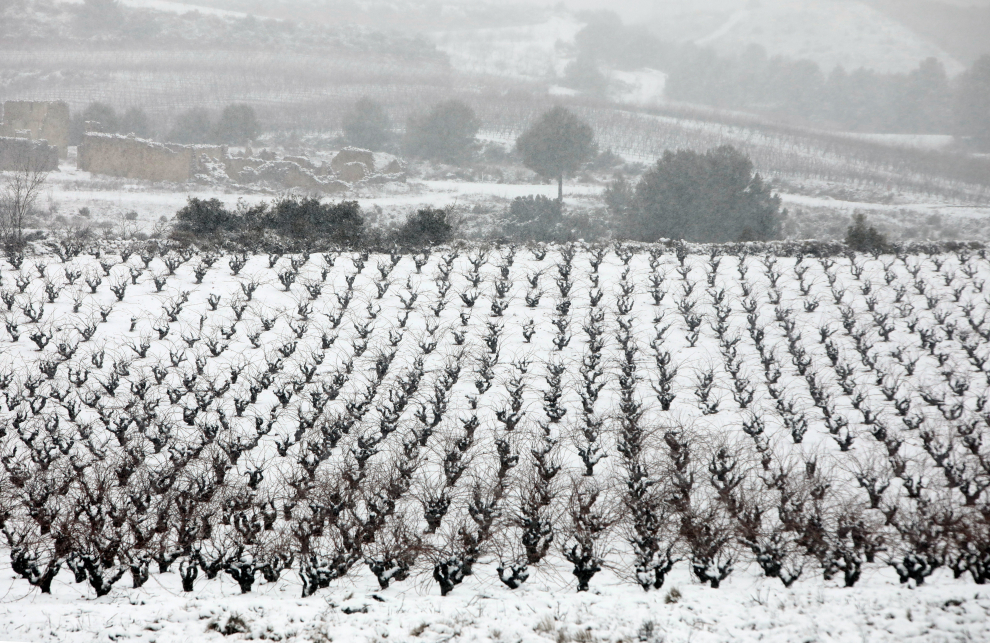 Las precipitaciones que está dejando el temporal en la mayor parte del territorio de la Comunitat Valenciana dejan cerca de 10 centímetros de nieve en puntos del interior, como Requena.