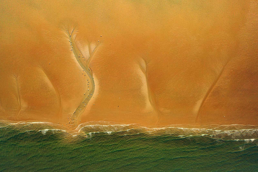 Finalista. Patrones de arena vistos desde arriba en Baltray, Irlanda.  Con charranes pequeños anidando en la playa. Estas aves marinas, raras de Irlanda, suelen anidar en las playas y son extremadamente ruidosas en la época de reproducción.