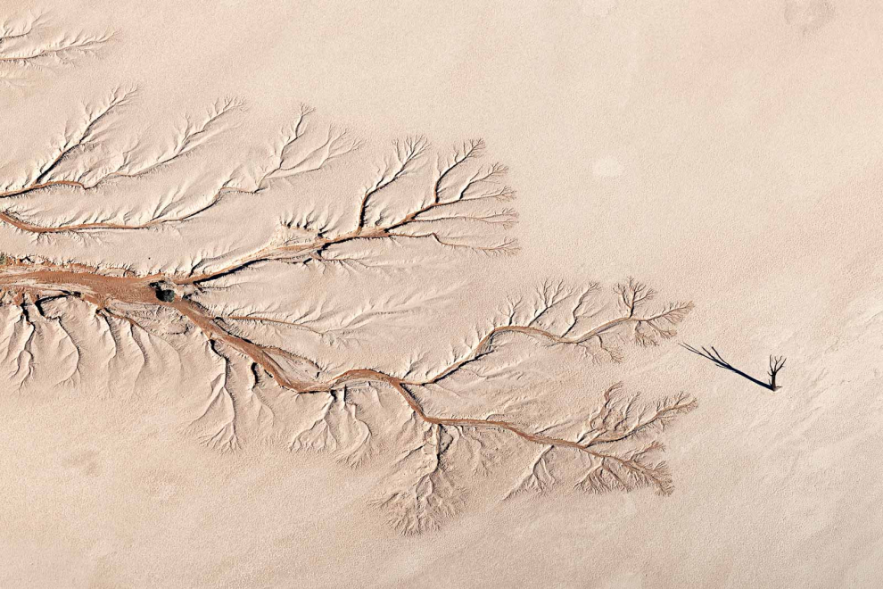 Ganador categoría Paisajes. Una sensación de espera invade este valle donde nada parece haber sucedido durante mil años. La sombra de un antiguo árbol se extiende, como una mano ennegrecida, hasta los delicados trazos del río Tsauchab en el centro de Namibia.
