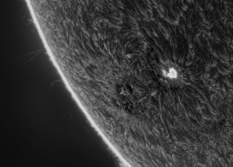 Esta imagen muestra un primer plano de una mancha solar y el plasma mientras parpadea y sigue las líneas magnéticas generadas por el Sol. La foto muestra lo que se llama la cromosfera, esta se obtiene usando un filtro de hidrógeno-alfa. Los Ángeles, California, EE.UU., 25 de noviembre de 2020
