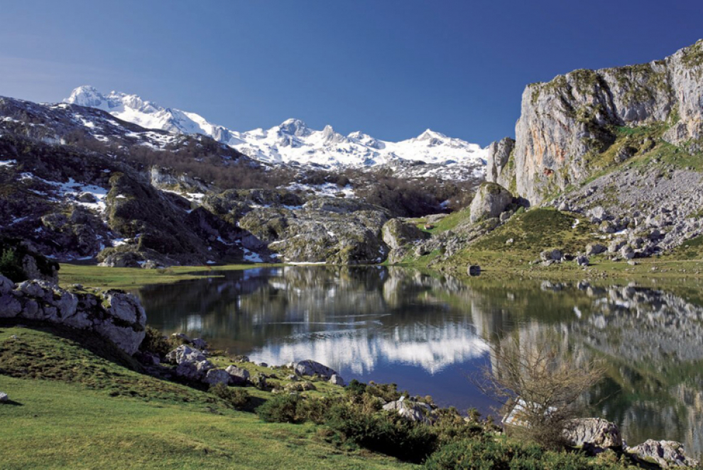 El Ercina es una balsa de agua alargada y de fondo plano donde el color de sus aguas varía dependiendo de la luz y la vegetación acuática. El acceso a los dos lagos es por la carretera de Los Lagos, 12 kilómetros, desde Covadonga.