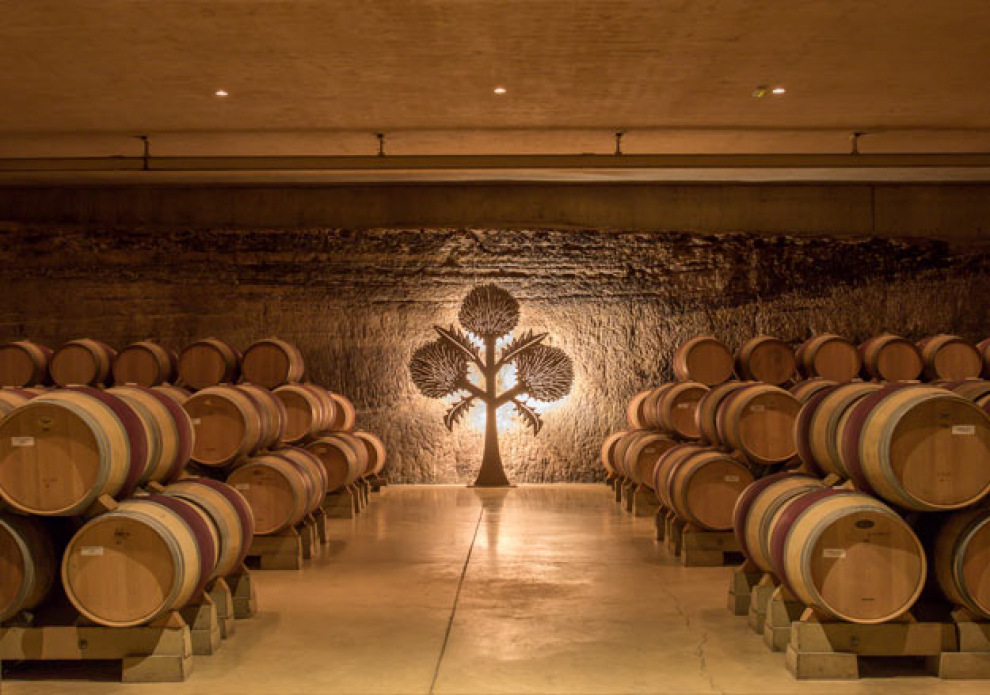 Una cata comentada de cuatro vinos: RODA, RODA I, CORIMBO y CORIMBO I, donde les permitirá apreciar las diferencias entre dos grandes vinos de Rioja y dos de Ribera del Duero. Precio 50 euros.