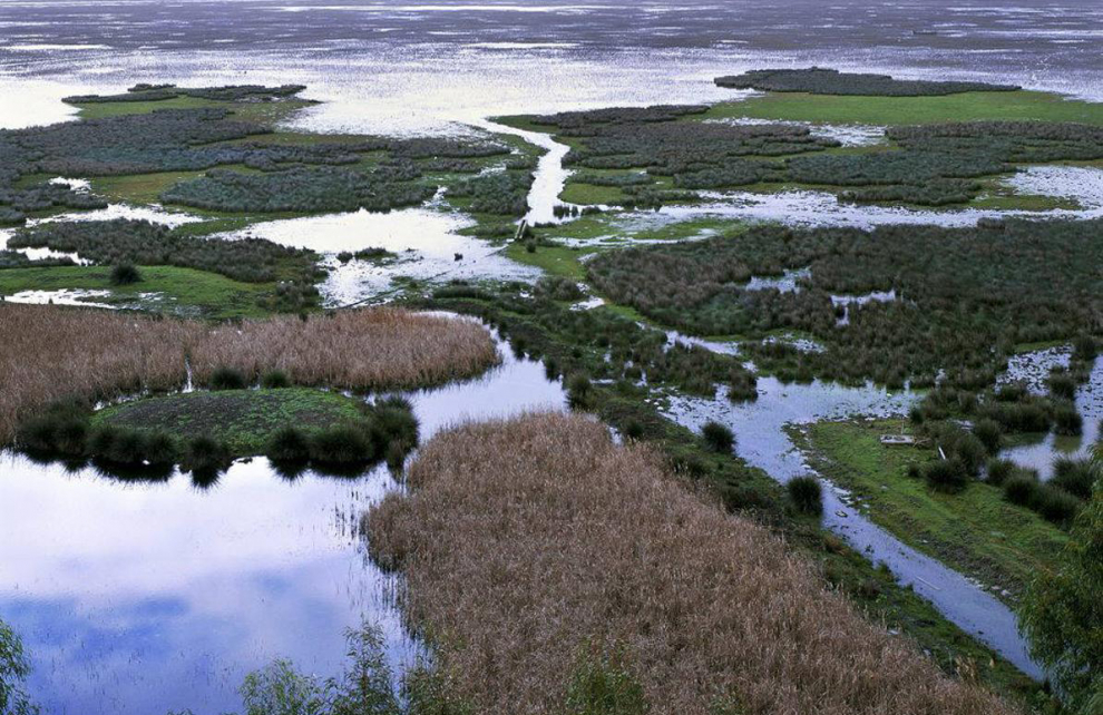 Situado en Andalucía, el parque de Doñana ocupa la margen derecha del estuario del río Guadalquivir, cerca de su desembocadura en el Atlántico. Es notable por la gran variedad de sus biotopos: lagunas, marismas, matorrales, monte bajo mediterráneo y dunas móviles y fijas. Es el hábitat de cinco especies de aves en peligro de extinción, posee una de las mayores poblaciones de garzas de la región mediterránea y sirve de refugio invernal a más de medio millón de aves acuáticas. Declarado Patrimonio de la Humanidad en 1994
