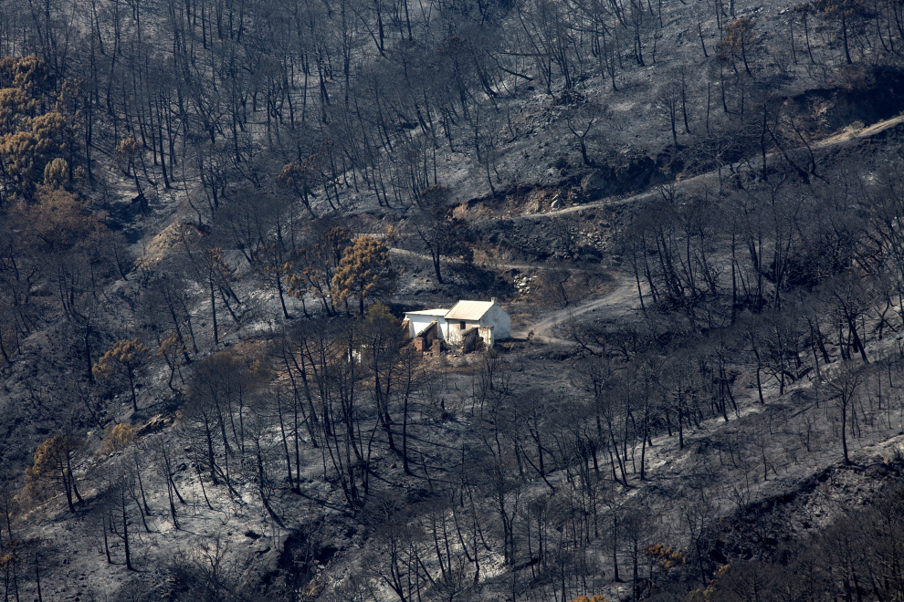 Vista general de la zona quemada por el fuego del incendio de Sierra Bermeja que ya ha quemado más de 6.000 hectáreas.