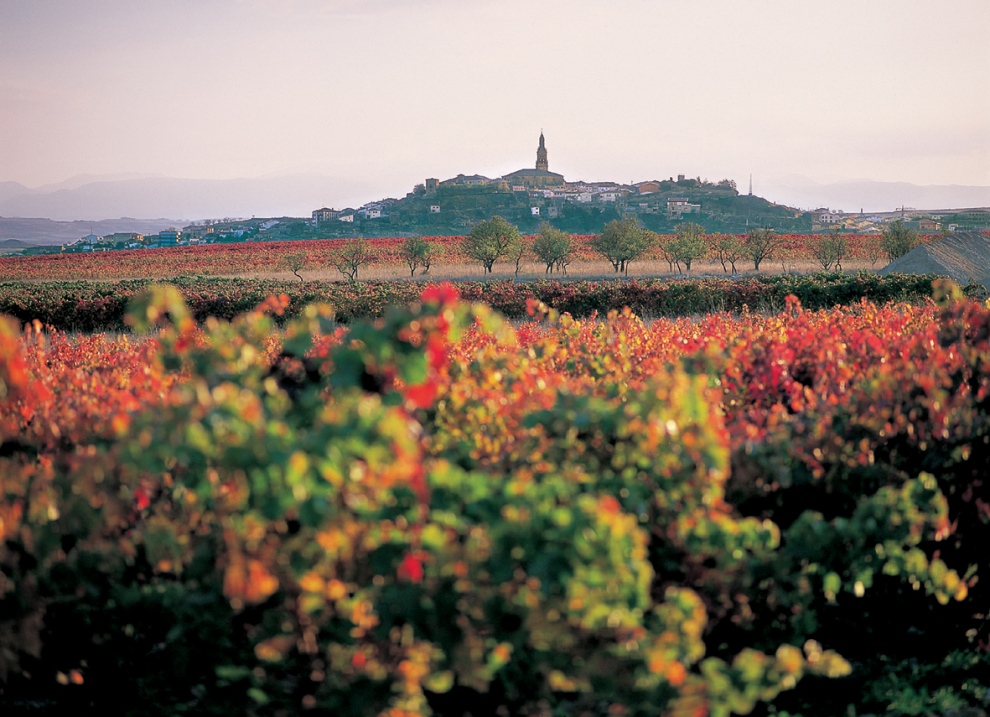 Tierra con nombre de vino y cuna del castellano con más de 500 bodegas en su comunidad.