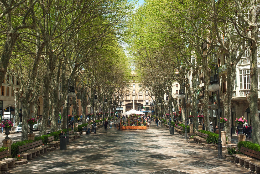 También se le conoce como "La Milla de Oro" y es probablemente la calle comercial más elegante de Palma de Mallorca. Este bonito boulevard fue diseñado por el arquitecto madrileño Isidro González Velázquez, conserva ciertas características que le emparenta con el Paseo del Prado en Madrid.