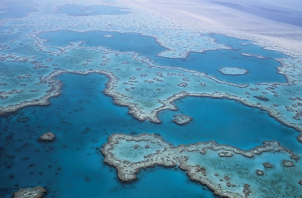 Situado en la costa de Australia, esta considerado el mayor arrecife de coral del planeta. En menos de tres décadas ha perdido la mitad de sus especies autóctonas. La causa de esta devastación es el aumento de las temperaturas, las tormentas tropicales, la inclusión de una estrella de mar que se alimenta de coral y la acidificación de los océanos.