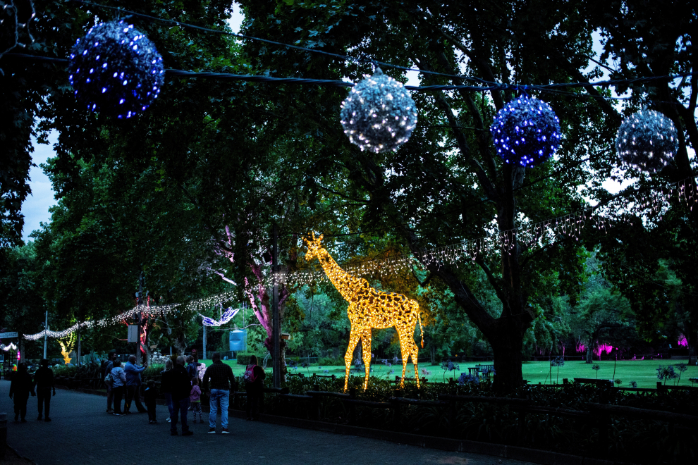 Una familia pasa junto a una escultura de luces en forma de jirafa durante el 'Festival Of Lights' en el Zoológico de Joburg estas navidades.