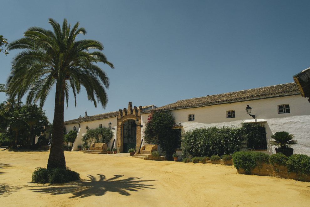 Las Bodegas Góngora fueron creadas en 1682. Están situadas en la Vieja Hacienda de Pata de Hierro en VIllanueva del Ariscal en el Aljarafe de Sevilla. Hoy en día es la 7ª generación de la familia Góngora quien está totalmente dedicada a la elaboración de vinos finos, generosos y brandies.