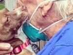 Un anciano de 86 años sobrevive a un derrame cerebral gracias a su mascota
