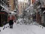 Madrid nieve caída de árboles borrasca Filomena ola de frío