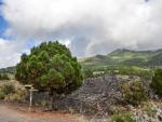 La serie sísmica de La Palma acumula ya más 20.650 terremotos en siete días