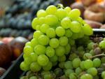 Racimo de uvas del supermercado, el producto típico de Nochevieja