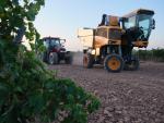 Agricultura vendimia tractor