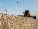 Cereales Ucrania grano