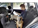Las mascotas y los coches ‘salvan los muebles’ del gasto del consumidor en EEUU