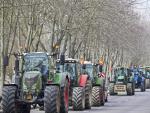 Los transportistas estiman perdidas de 35 millones de euros diarios por las protestas