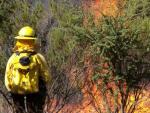 Asciende a ocho el balance de muertos en los incendios de Chile