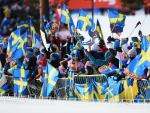 Aficionados suecos apoyan al equipo nacional de esquí en  en Falun, Suecia, el pasado 2015. Getty Images