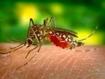 Catalunya registra dos casos "leves" de mujeres no embarazadas con el virus Zika