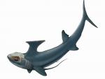 Un fósil revela el origen de peces monstruo parecidos a los tiburones