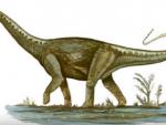 Hallan en Argentina restos de un dinosaurio gigante desconocido