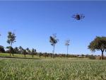 Sando inicia un estudio de investigación para gestionar zonas verdes mediante drones