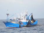 Un total de 59 barcos de Laredo y País Vasco certificados MSC para la pesquería de sardina del Golfo de Vizcaya