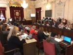 Los falsos autónomos, el saneamiento, los museos y el plan turístico, a debate en el pleno Málaga
