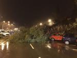 Las precipitaciones y los fuertes vientos provocan riesgo de desbordamientos en Alicante y caídas de árboles
