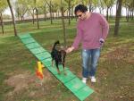El Ayuntamiento instala un gran parque canino en Los Artesanos