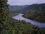 WWF: si no se responde en plazo al "ultimátum" de Unesco sobre el dragado Doñana podría entrar en Lista Negra