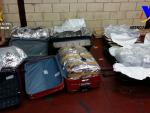 Incautados en el Aeropuerto de Bilbao 40 kilos de angulas ilegales vivas con destino Shanghái (China)