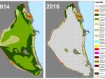 El 85% de las praderas marinas del Mar Menor ha desaparecido desde 2014 por la calidad y turbidez del agua