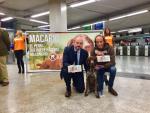 Una media de 370 perros acceden cada día al Metro de Madrid