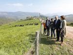 Oria cree que la vaca tudanca sigue siendo un "tótem" de Cantabria y confía en verla de nuevo en ferias y pasás