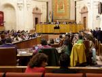 El Pleno del Parlamento andaluz convalida o deroga este miércoles el Decreto Ley de Escuelas Infantiles
