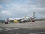 Un avión de Vueling promocionará Cantabria y el Año Jubilar en Europa