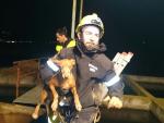 Rescatan a un perro que había quedado atrapado en una tubería en Petrer (Valencia)