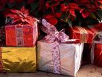 El exceso de regalos en Navidad sobreestimula a los niños y puede reducir su nivel de tolerancia a la frustración