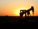 La OPEP se muestra optimista ante la recuperación del precio del petróleo